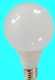 LED Bulb